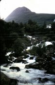 5_resize_4
