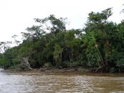 800px-amazon_river