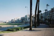 800px-tangeravenue