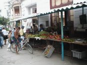 Havana-market_resize_2